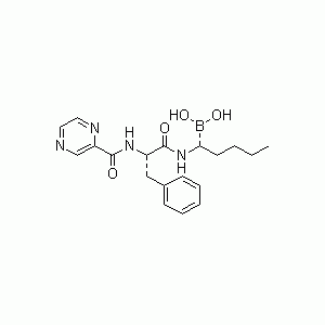 Bortezomib