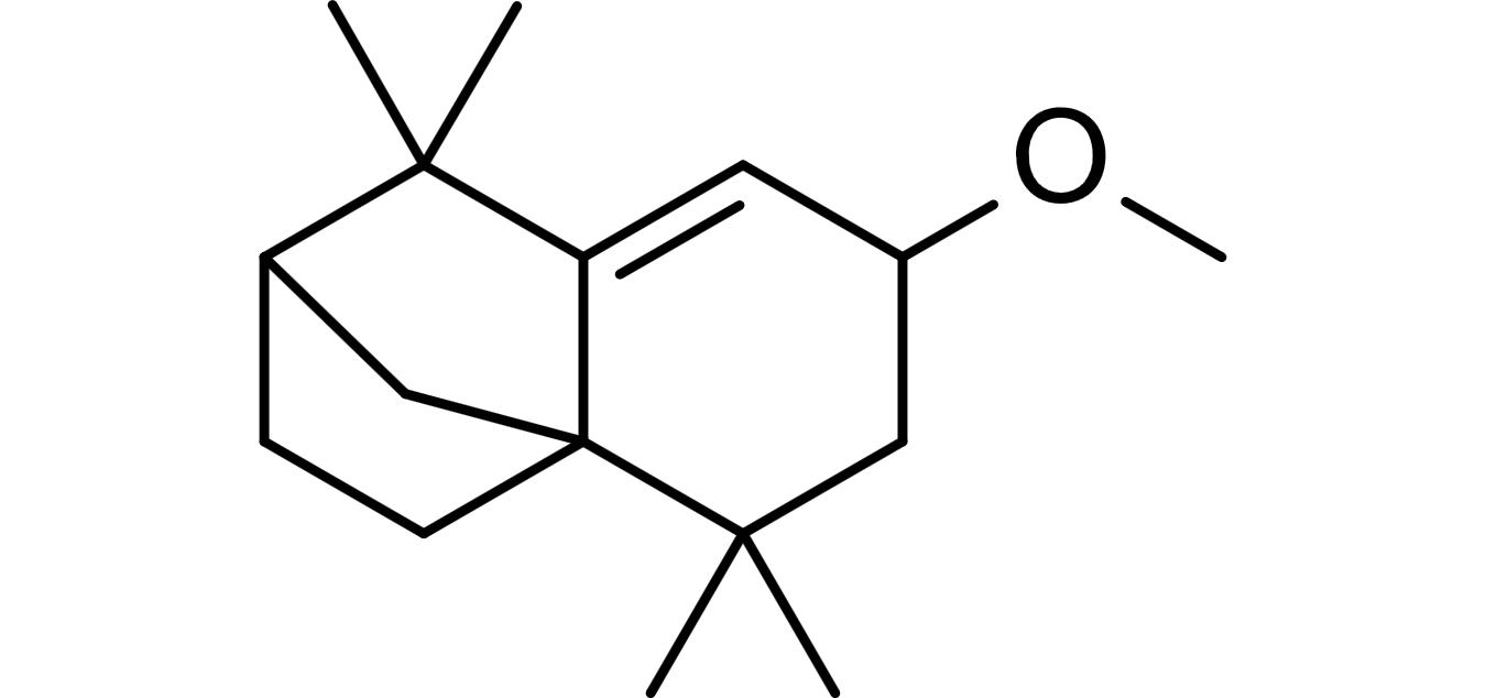 393517-29-8,2H-2,4a-Methanonaphthalene, 1,3,4,5,6,7-hexahydro-7-methoxy-1,1,5,5-tetramethyl-